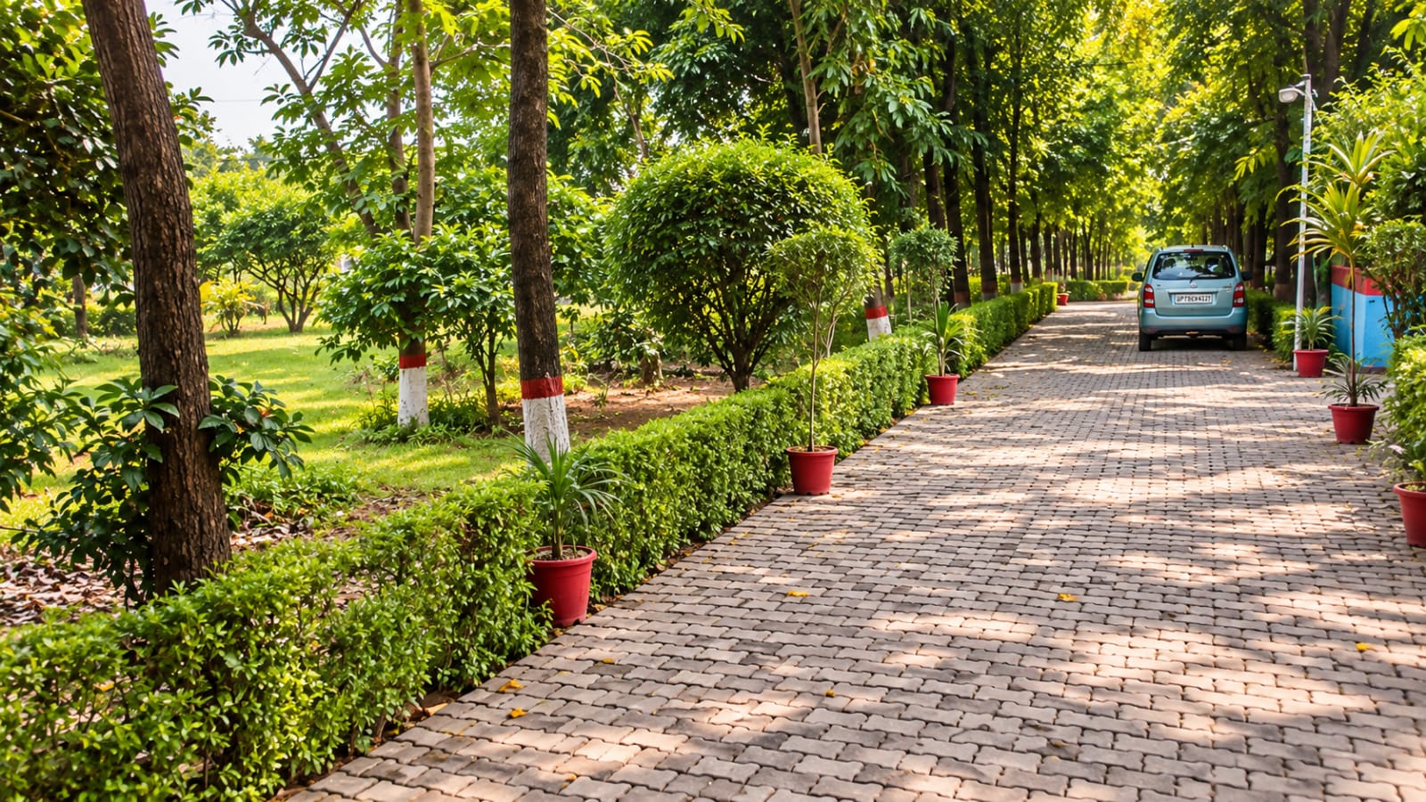 Stone Pathway Garden
